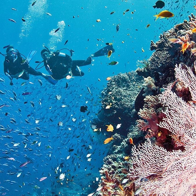 Diving the Great Barrier Reef - Book Your Australia Vacation - Australia Travel Agency