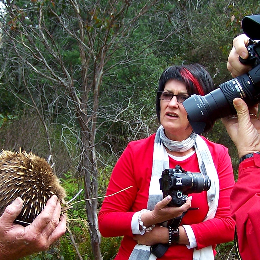 Best of Tasmania Vacations: Highlights of Tasmania - Wildlife Tour