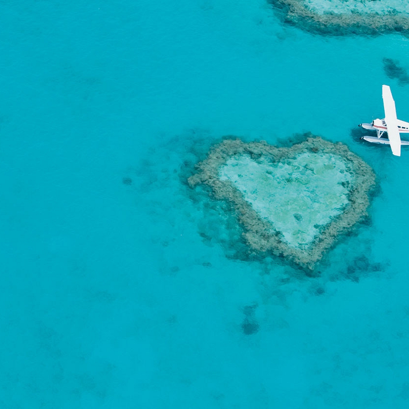 Best Ways To Propose - Australia - Snorkel Barrier Reef - Top 5 - Travel Expert - Australia Travel Package - Travel Australia