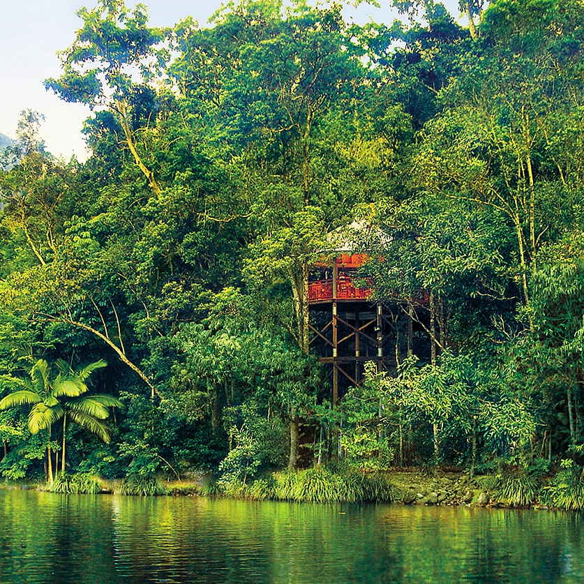 Australia Daintree Rainforest Silky Oaks Lodge