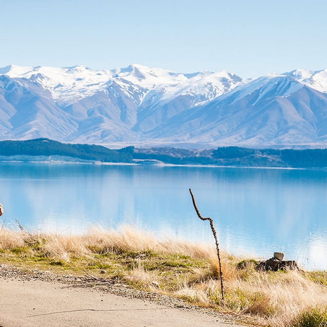 Scenic Walks in Mt Cook and Aoraki - Book Your Trip to New Zealand - New Zealand Travel Agency