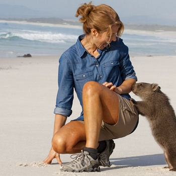 Wombat on the Beach at Bay of Fires, Tasmania