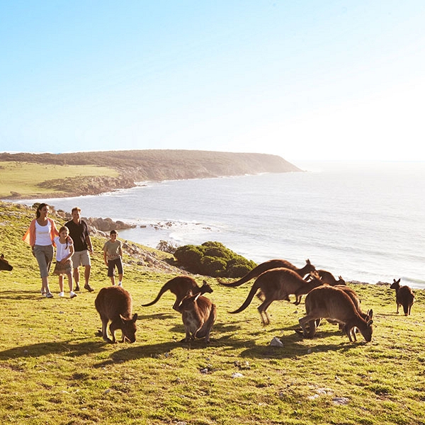 Family on Kangaroo Island Australia - Best Multigenerational Family Vacations