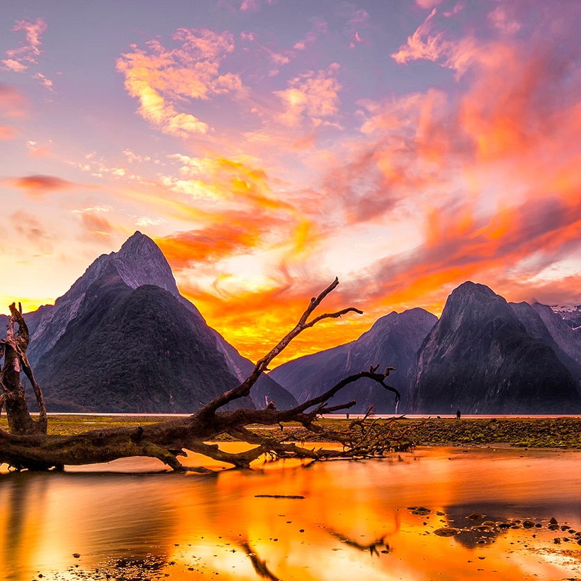 New Zealand Milford Sound