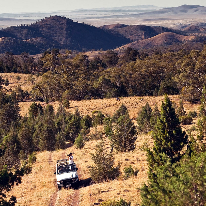 Australia Wildlife Vacations - Arkaba Station