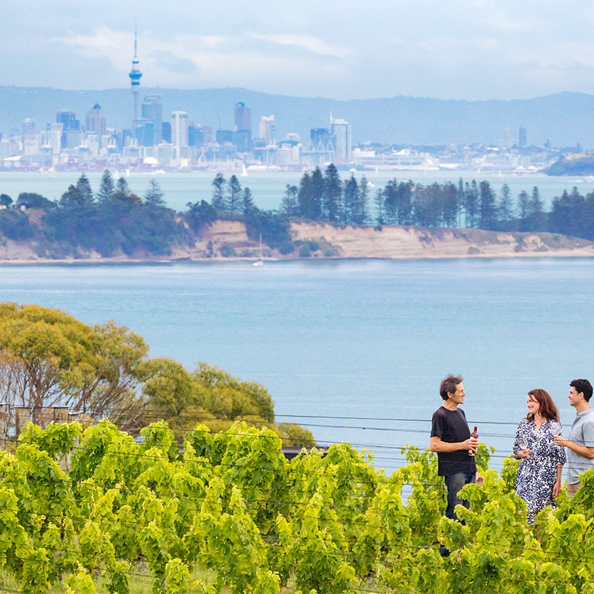 Indulgent Escape: New Zealand Luxury Vacation - Private Wine Tasting Tour on Waiheke Island