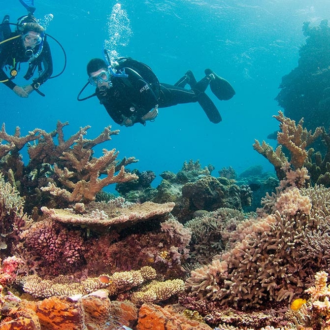 Diving the Great Barrier Reef - Family Trip to Australia - Great Barrier Reef Vacation