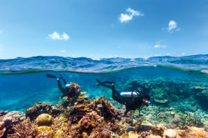 Scuba diving in Agincourt Reef