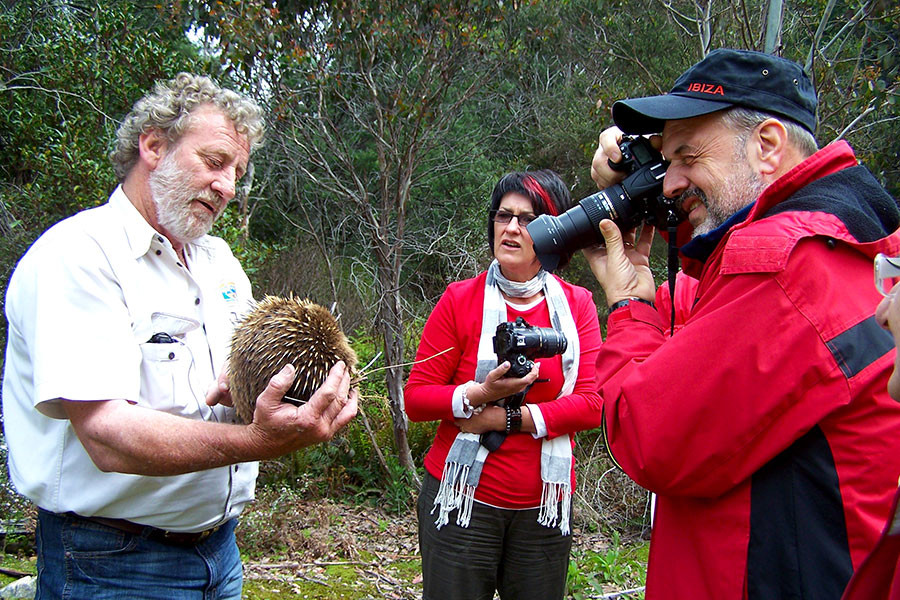 Best of Tasmania Vacations: Highlights of Tasmania - Wildlife Tour