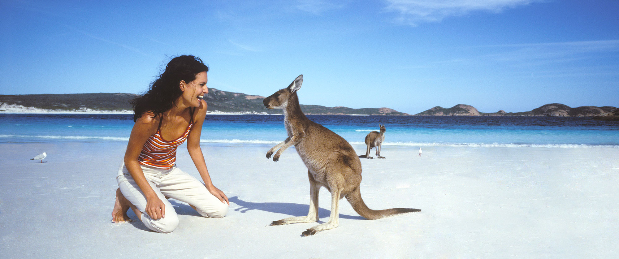 Food and Wine Travel Packages - Australia, New Zealand, Fiji, Africa