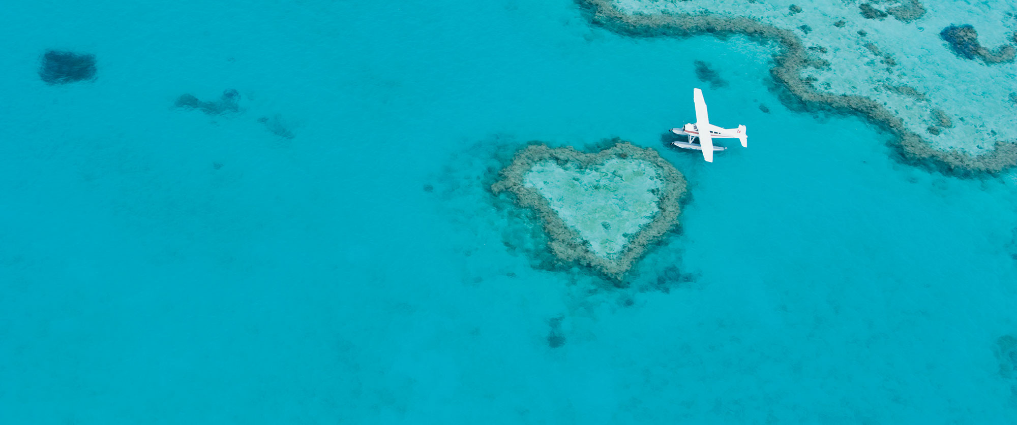 Best Ways To Propose - Australia - Snorkel Barrier Reef - Top 5 - Travel Expert - Australia Travel Package - Travel Australia