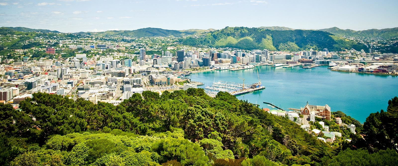 View of Wellington from Mt Victoria - Book Your Trip to New Zealand - New Zealand Travel Agency