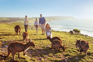 South Australia Travel - Kangaroo Island Family Vacation - Wildlife and Beaches in South Australia