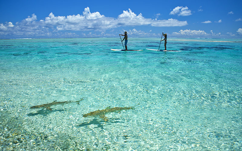 Paddleboarding Off Tikehau Atoll in the Tuamotu Islands