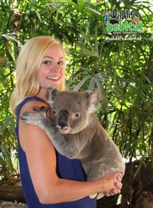 Aussie Critters and Creatures - Australian Wildlife