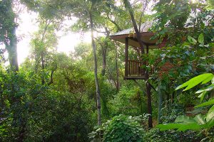 Eco Friendly Australia New Zealand - Thala Beach Nature Reserve