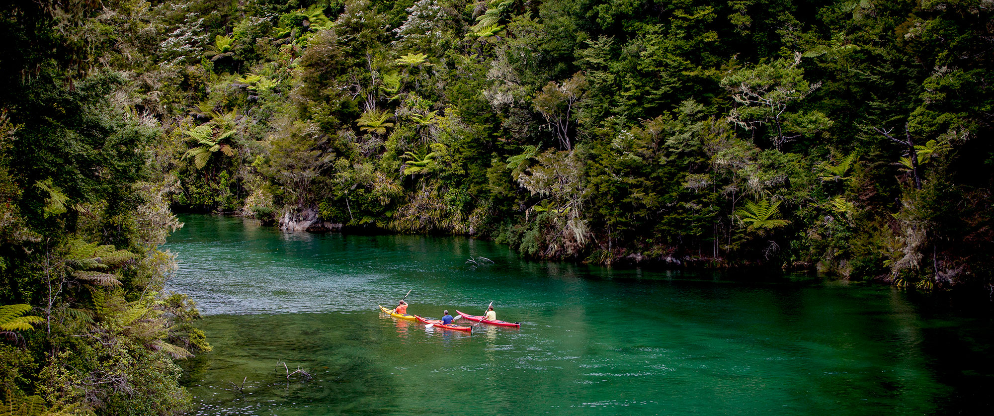 New Zealand Vacation - Abel Tasman National Park