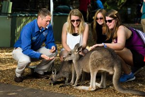 Australia Vacations Sydney - AEA Luxury Tours