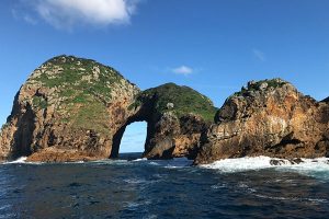 New Zealand Trips - Best Places to Go - Poor Knights Island Scuba Diving