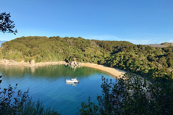 New Zealand Trips - Best Places to Go - Abel Tasman National Park