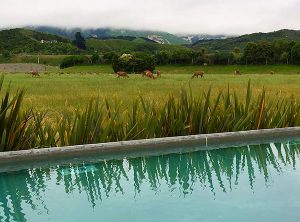 Kaikoura, New Zealand Travel Guide - View at Hapuku Lodge