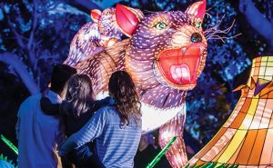 Family looking at light exhibits at Taronga Zoo, Vivid Sydney 2017