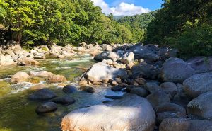 Silky Oaks Lodge - Mossman River - Vanessa Massey - Australia Travel Agents