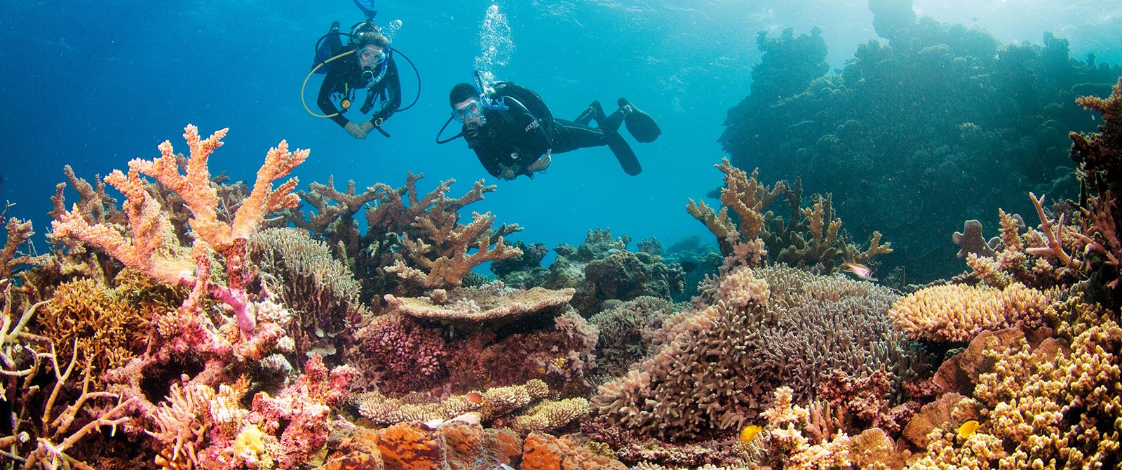 Diving the Great Barrier Reef - Family Trip to Australia - Great Barrier Reef Vacation