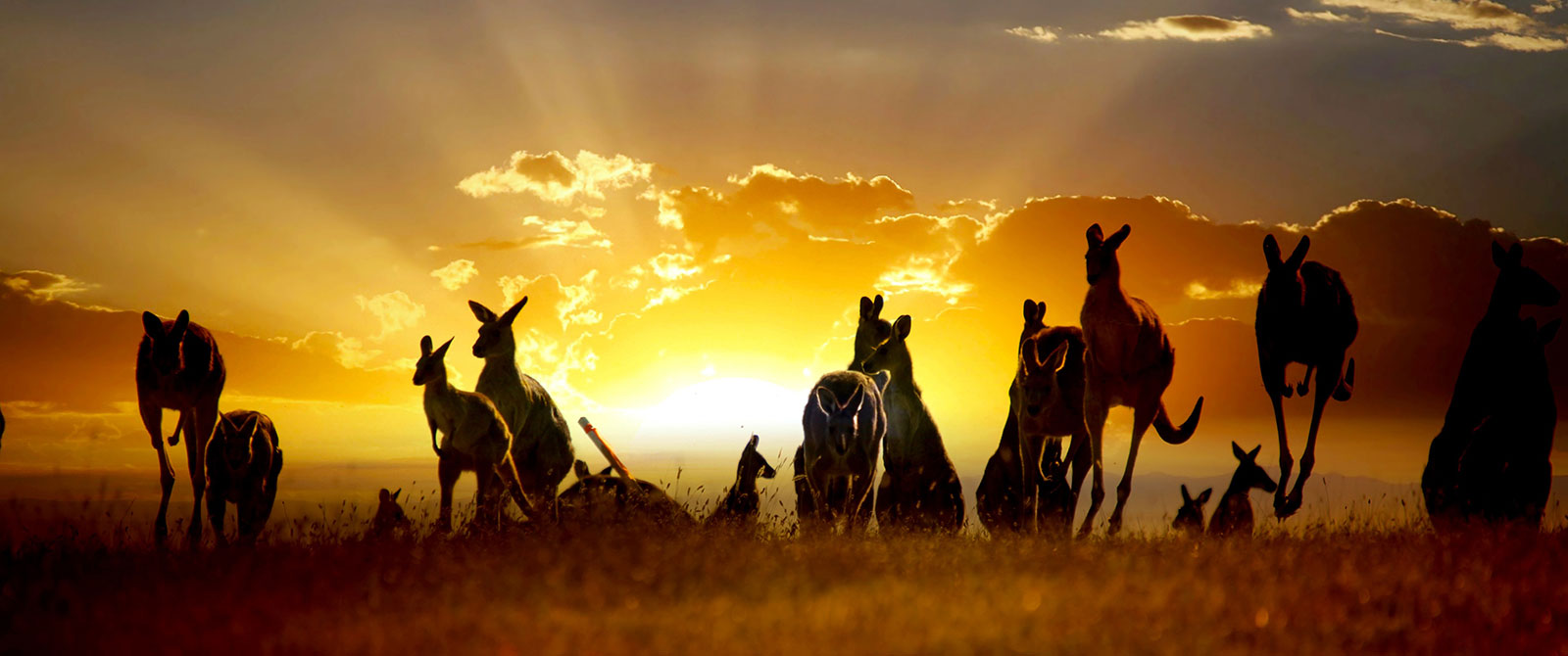 Down Under Endeavours - Luxury Travel Agency - Careers in Travel