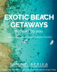 Beach Brochure